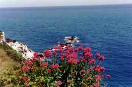 CAMAREZZA COMUNE