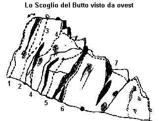 viebutto
