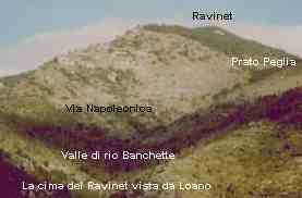 ravinet
