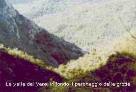 vero