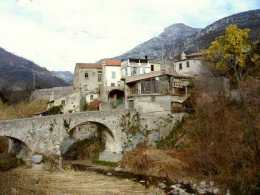 pontemini