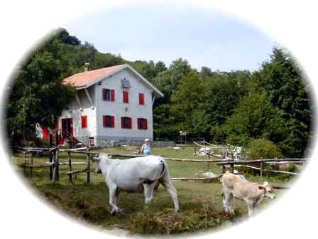 rifugiosfum